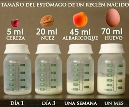 tamaño estómago recien nacido